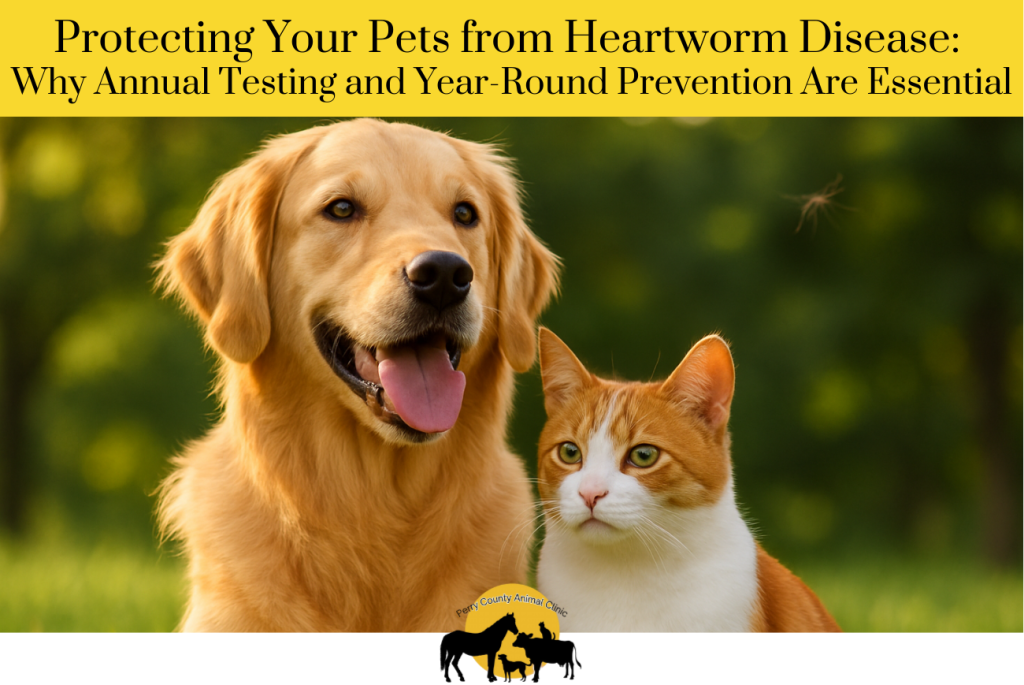Protecting Your Pets from Heartworm Disease Why Annual Testing and Year-Round Prevention Are Essential