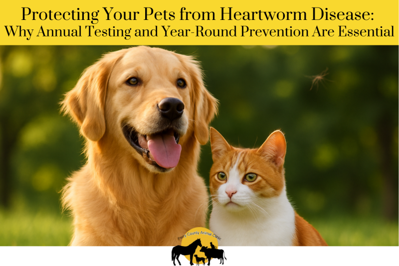 Protecting Your Pets from Heartworm Disease Why Annual Testing and Year-Round Prevention Are Essential